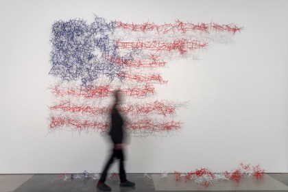 SusanWhiteFlagHawDec2014-8349