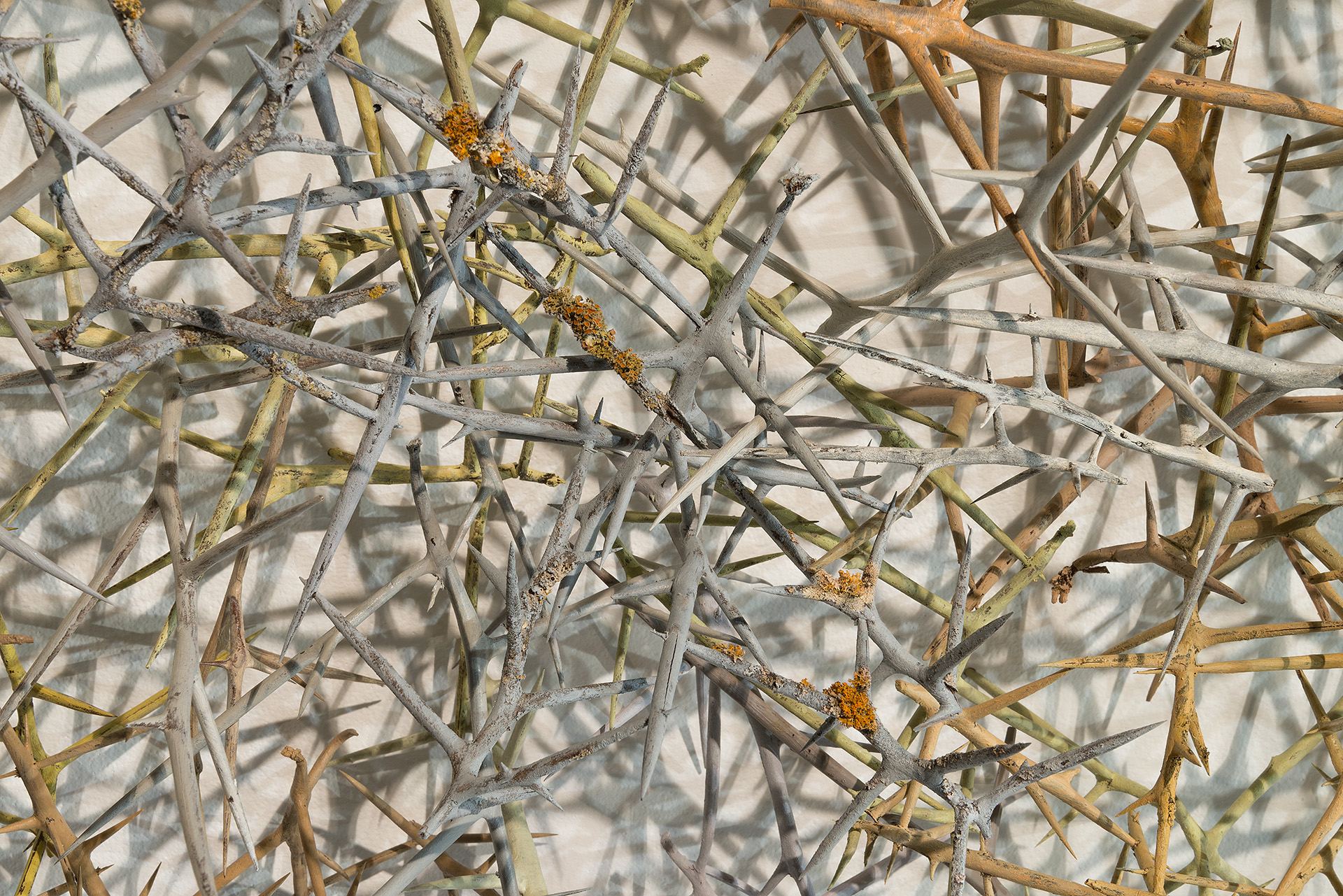 Susan White - Studios INC - Mar 18-0951